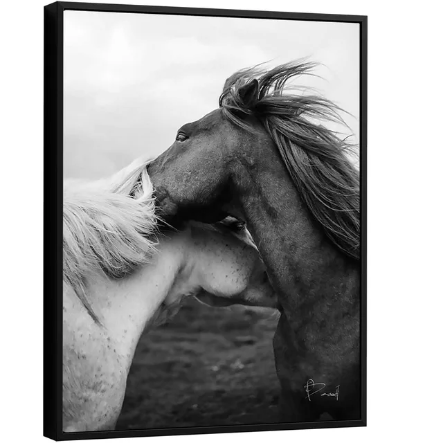 Quadro Casal de Cavalos - Quadros de Cavalos | QuadrosDecorativos.com