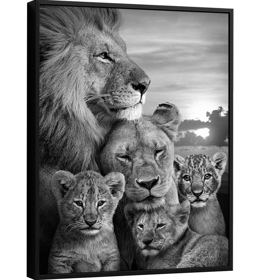 Quadro Família de Leões 3 filhotes Preto e Branco - Quadros para Quarto | QuadrosDecorativos.com