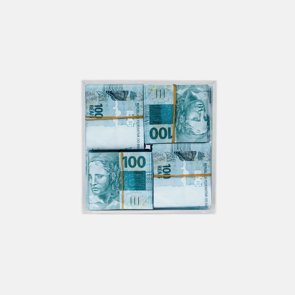 case-do-sucesso-100-reais-7