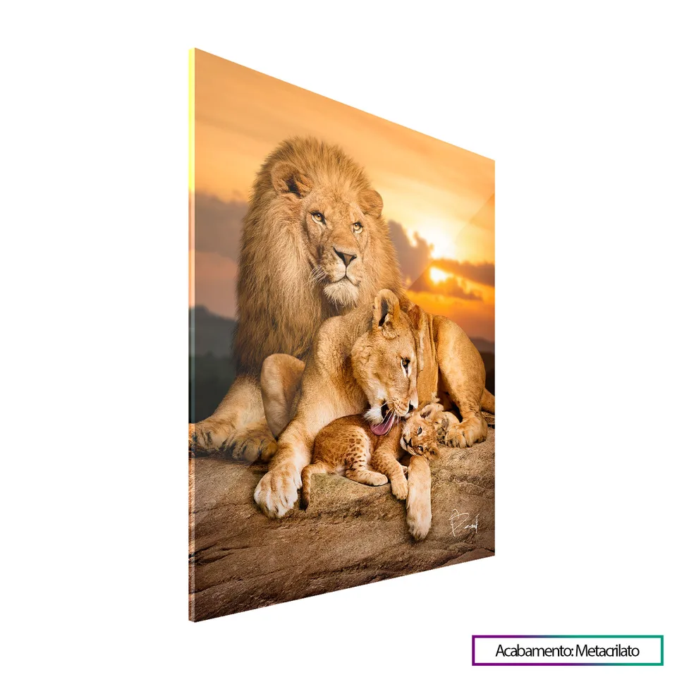 Quadro Família de Leões - O Primogênito em metacrilato