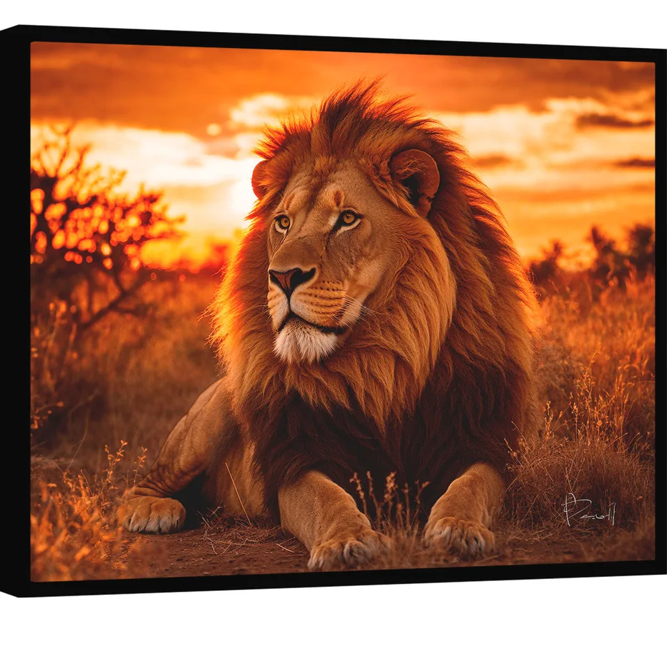 Quadro Leão ao Pôr do Sol