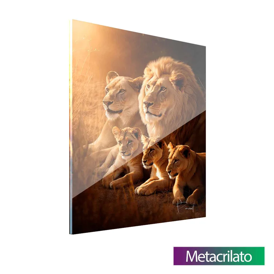 Quadro Família de Leões - 3 Filhotes em metacrilato