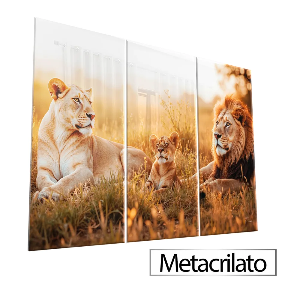 Quadro O Repouso dos Leões 3 Peças