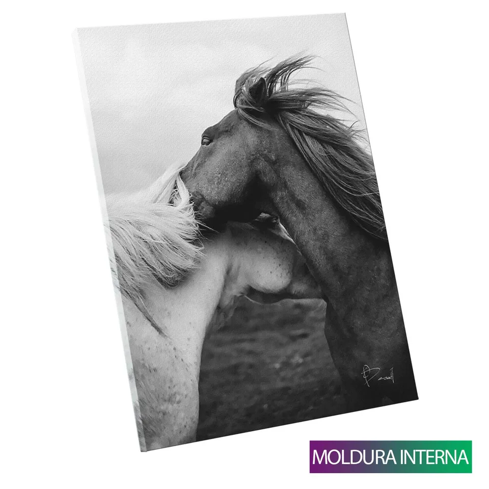 Quadro Casal de Cavalos com moldura interna