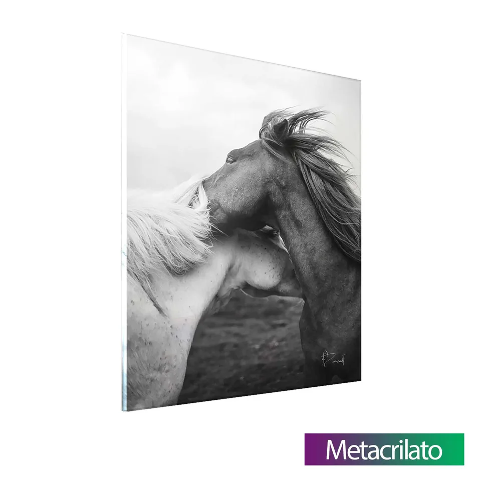 Quadro Casal de Cavalos com acabamento em metacrilato