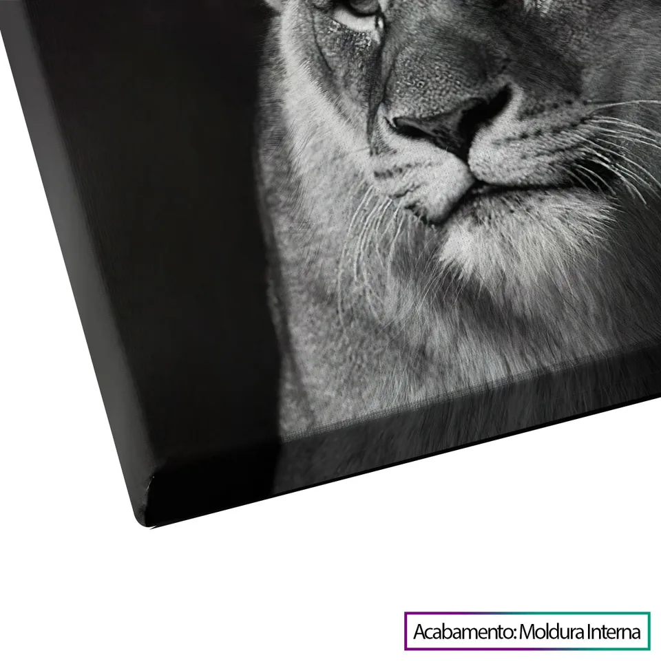 Quadro Casal de Leões, de Benoit — foto 11