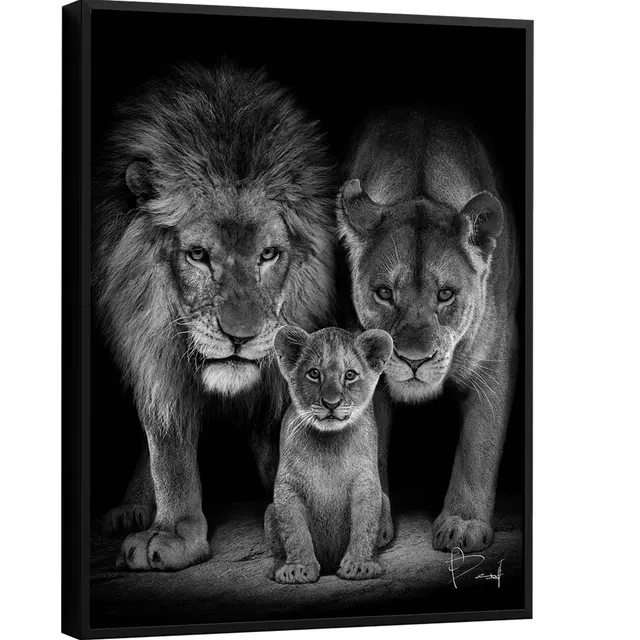 Quadro Proteção de Leão. Leão e leoa protegendo seu filho, arte preta e branca