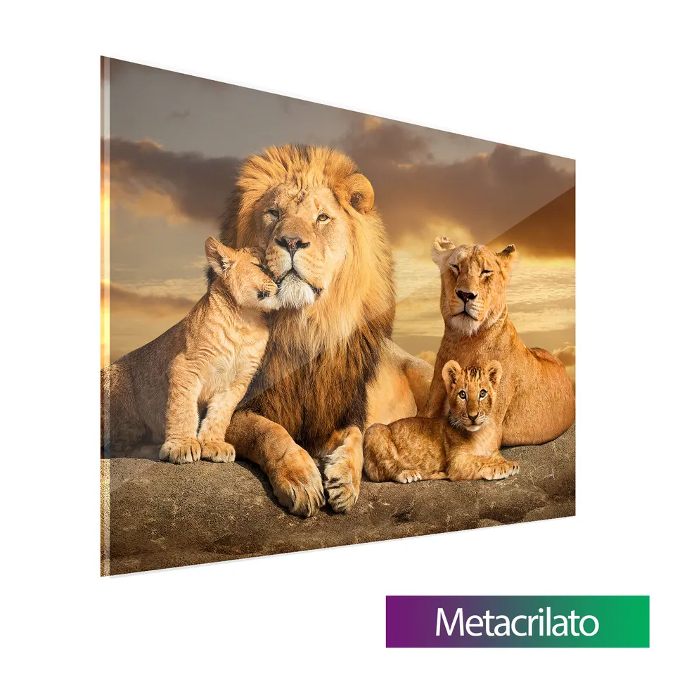 Quadro decorativo As Raízes do Leão