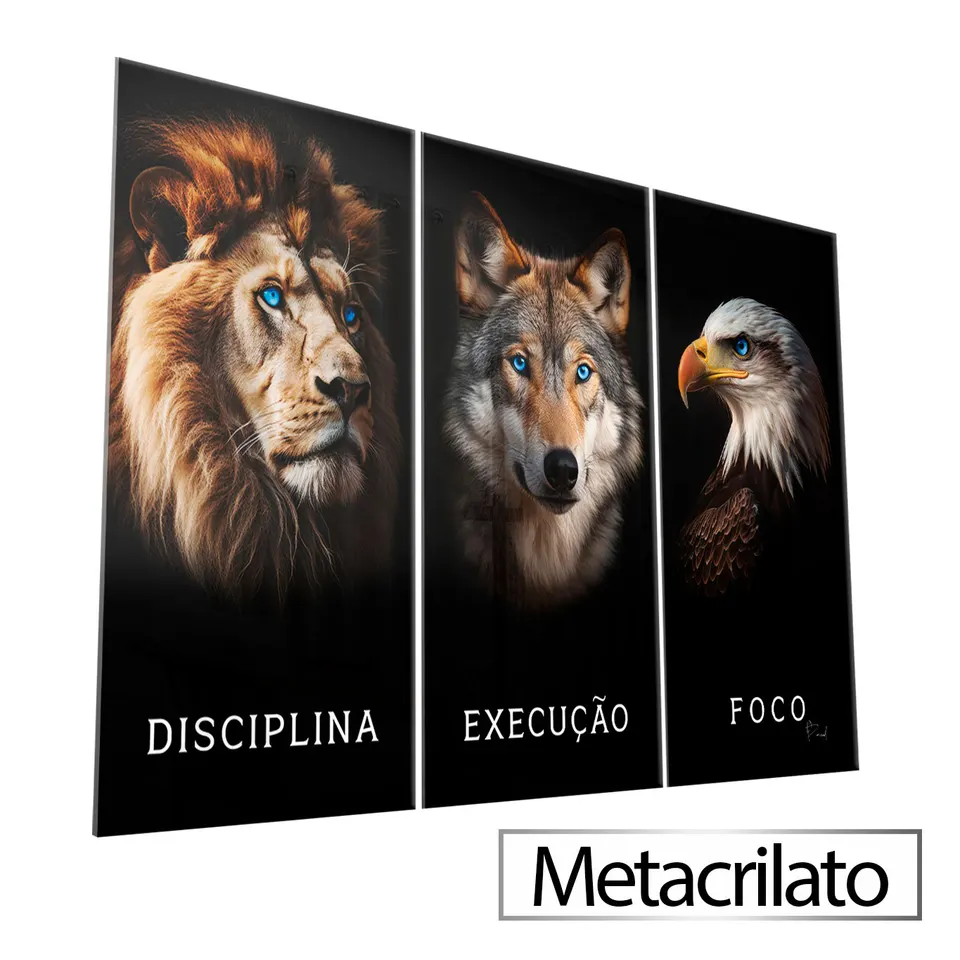 8548 Quadro Disciplina, Execução e Foco Realista 3 Peças (28)