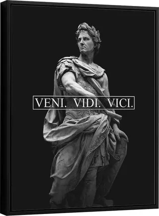 Quadro Veni Vidi Vici - Quadros para Escritório | QuadrosDecorativos.com
