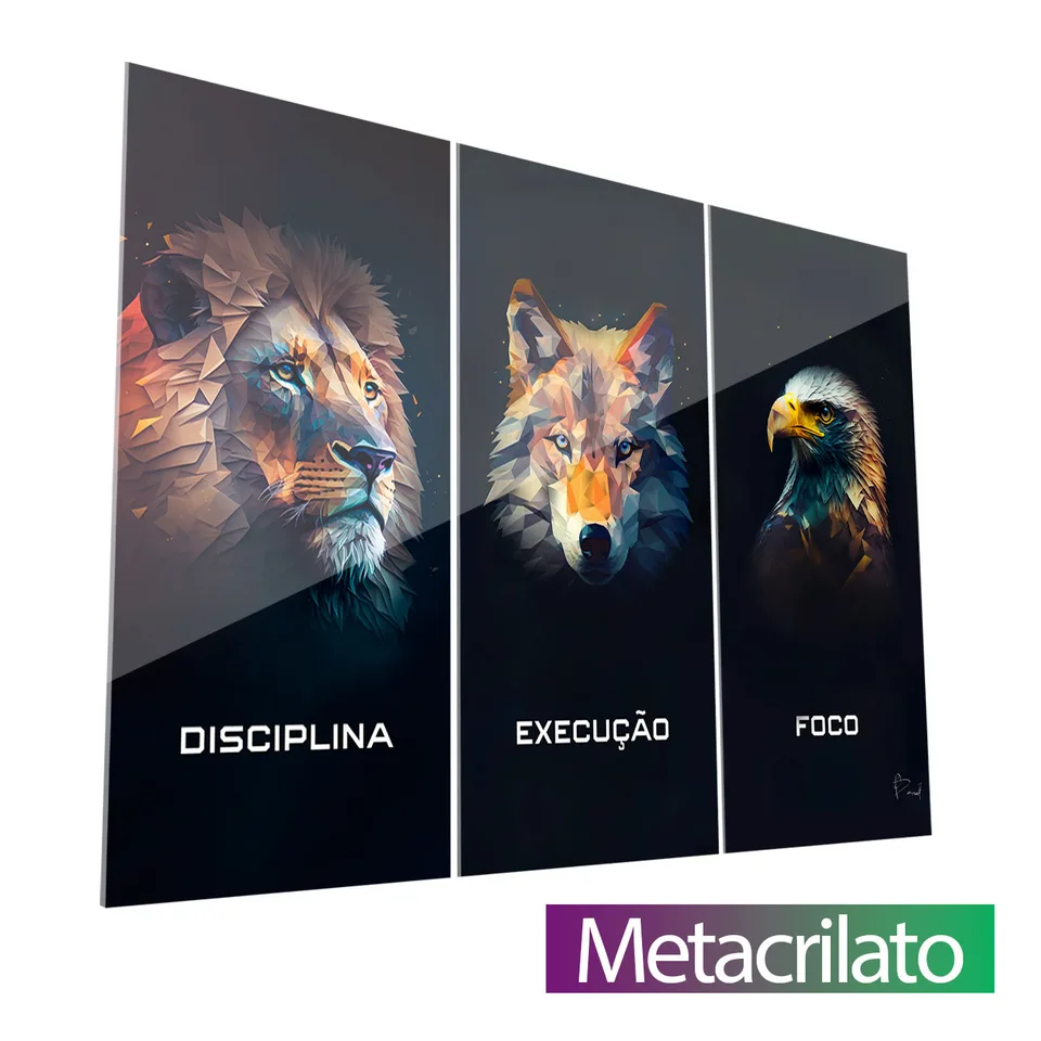 Quadro Disciplina, Execução e Foco Geométrico 3 Peças com acabamento em metacrilato