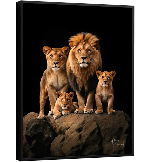 Quadro Família de Leões no Preto. Leão junto com leoa e dois filhotes em fundo escuro