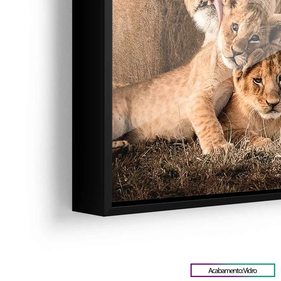 família safari Vidro