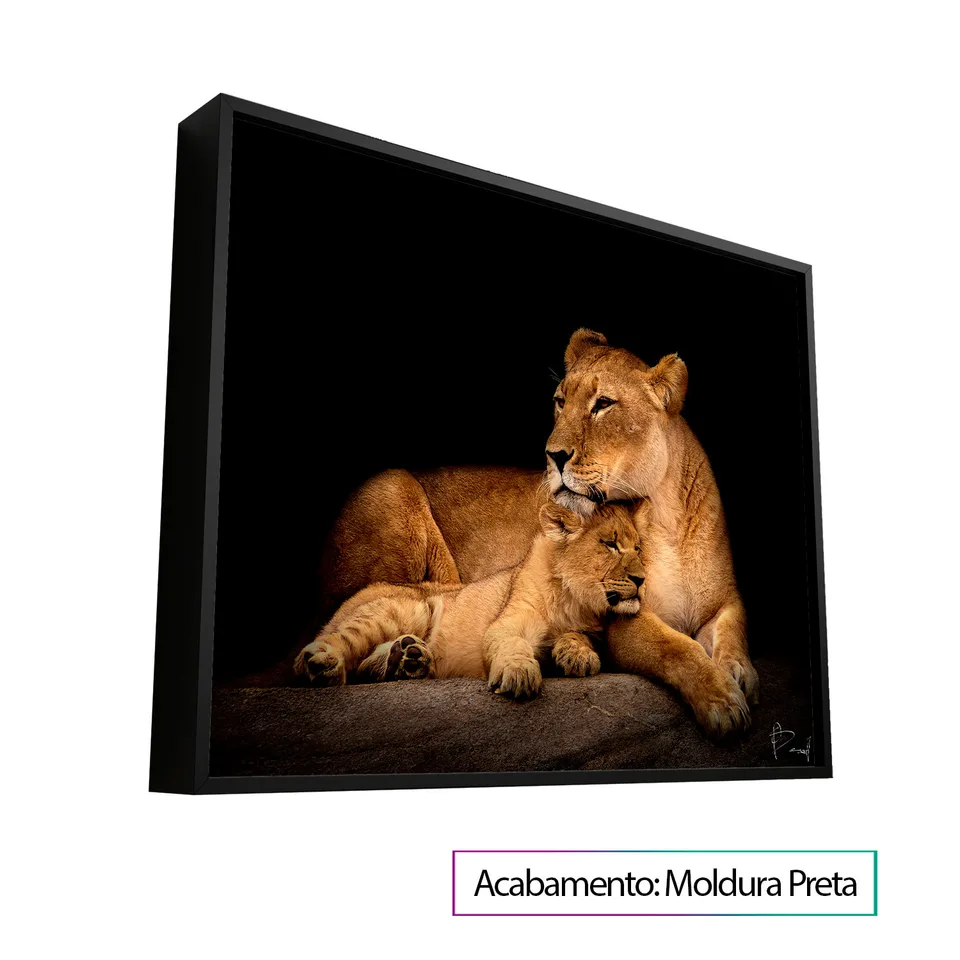 8236 Quadro Leoa Amorosa 4