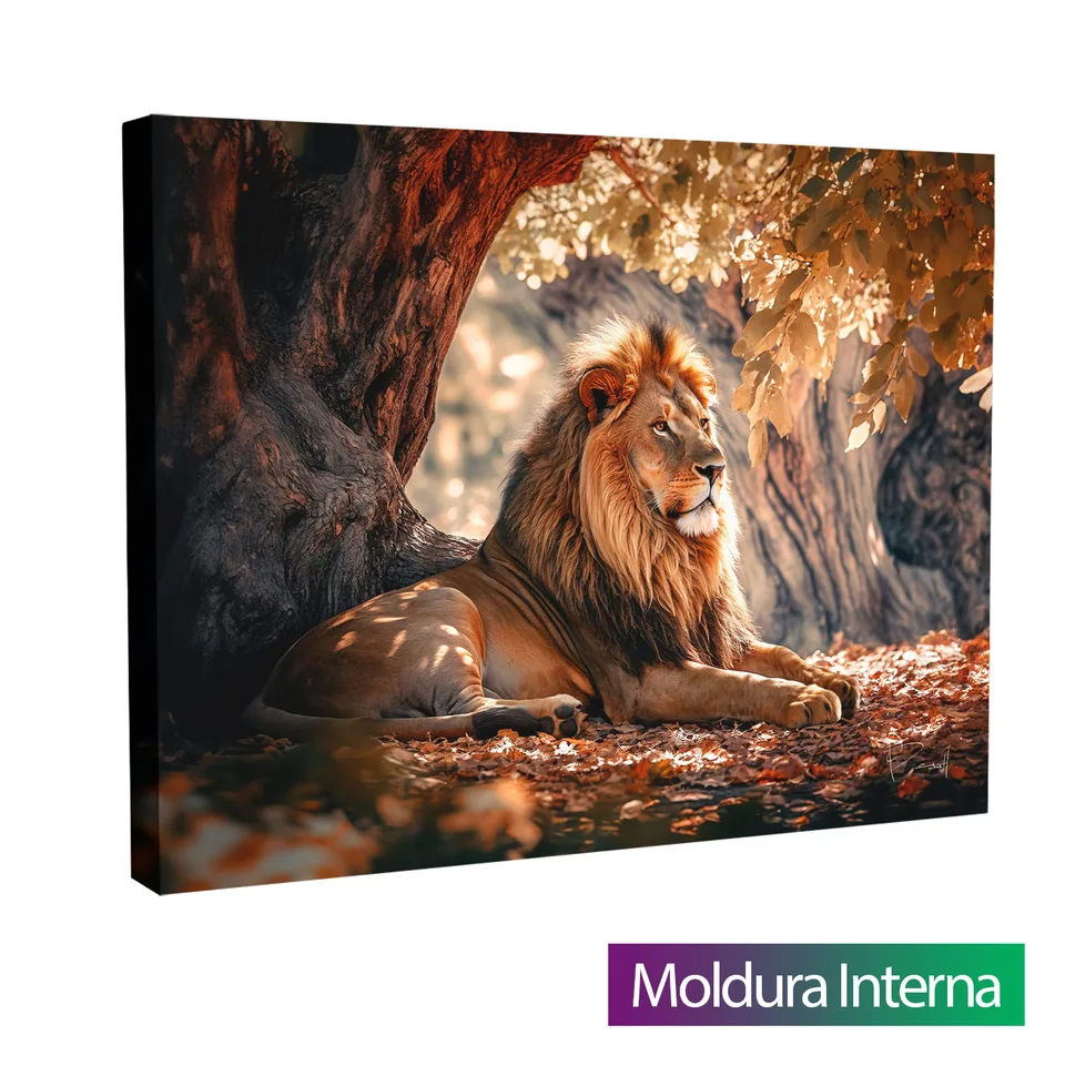 Quadro A Calma do Leão — Moldura Interna, Médio 64x48