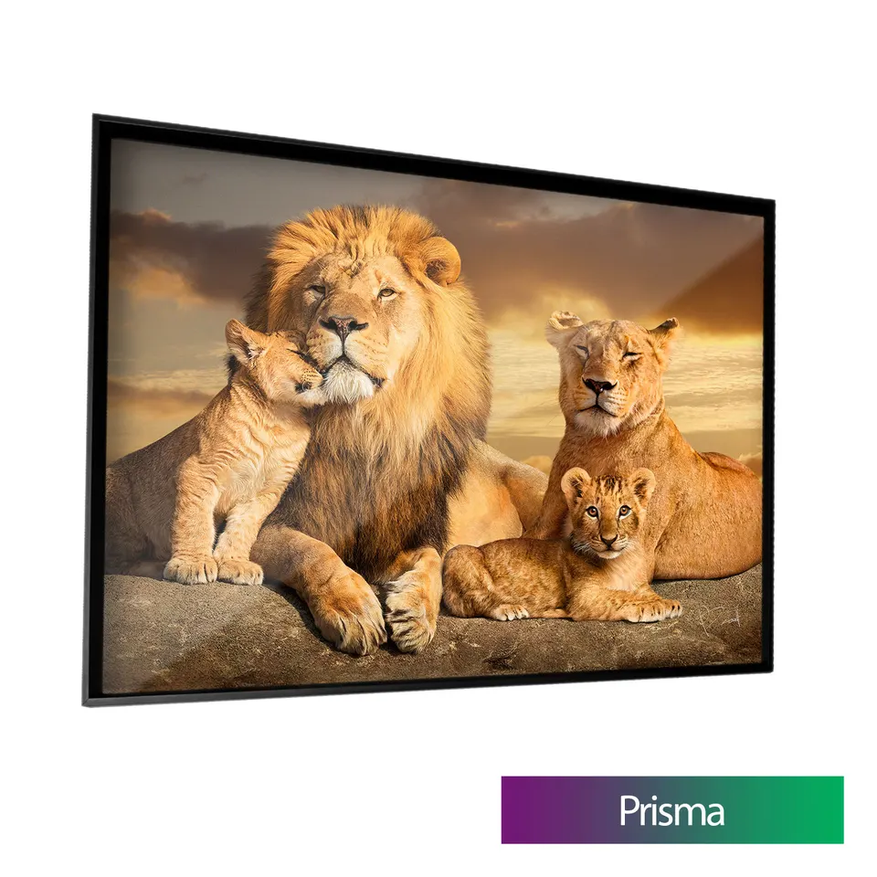 Quadro decorativo As Raízes do Leão