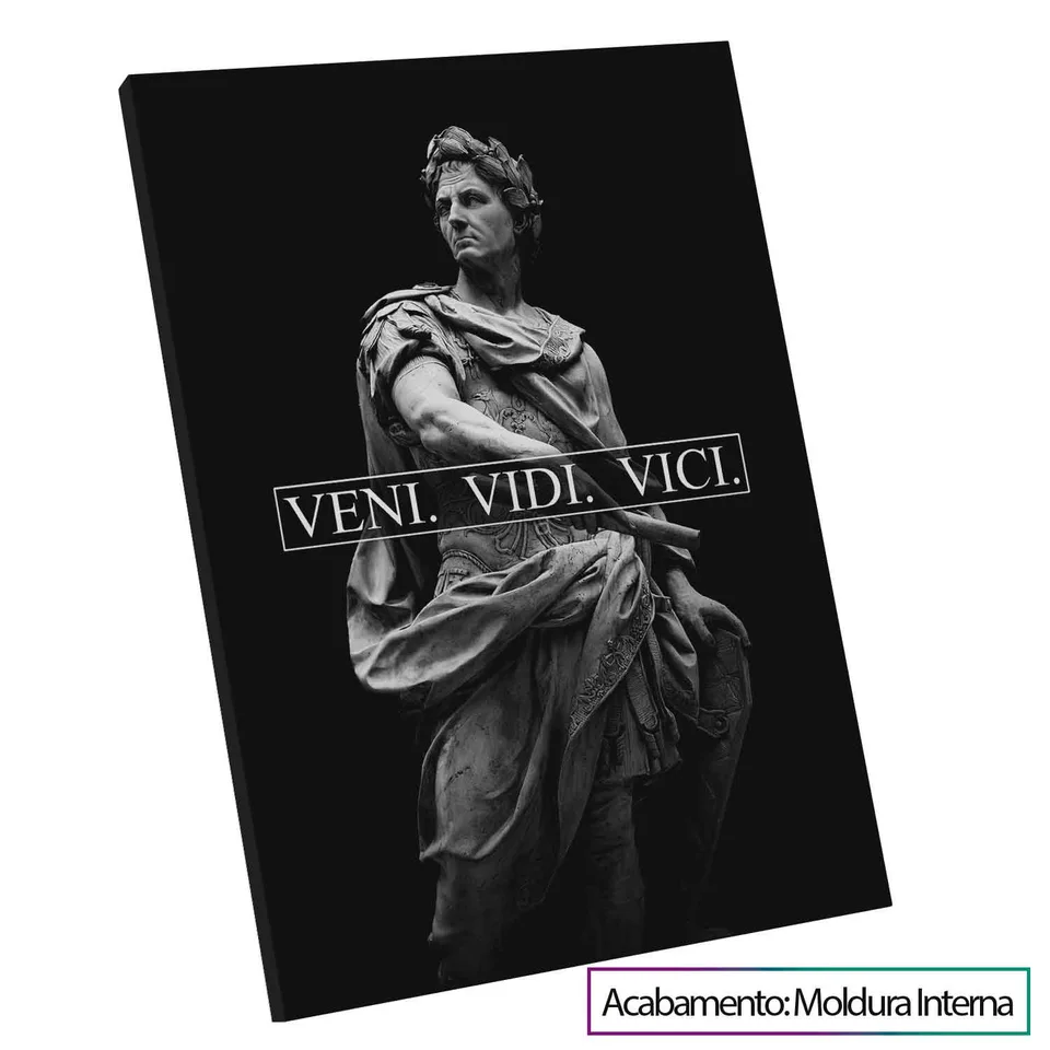 veni vidi vicivertical-2