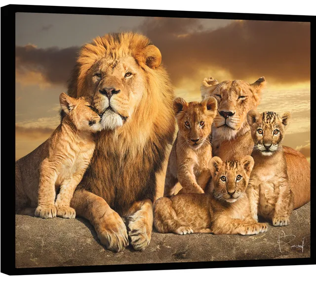 Quadro A Linhagem do Leão com 4 Filhotes. Leão e leoa com quatro filhotes, arte realista para sala de estar
