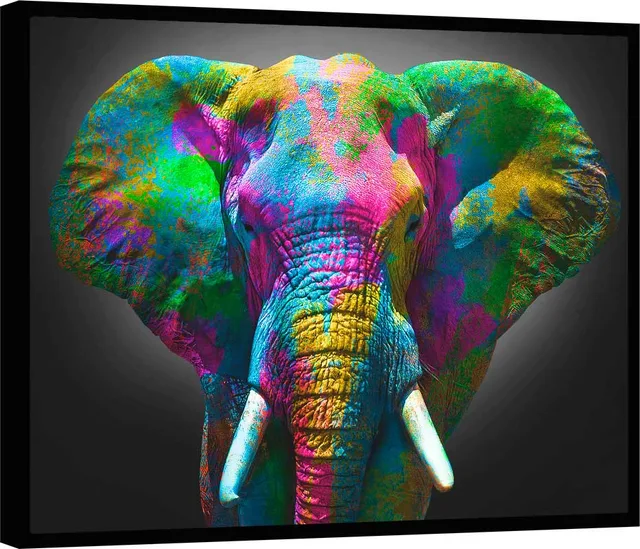 Quadro Elefante