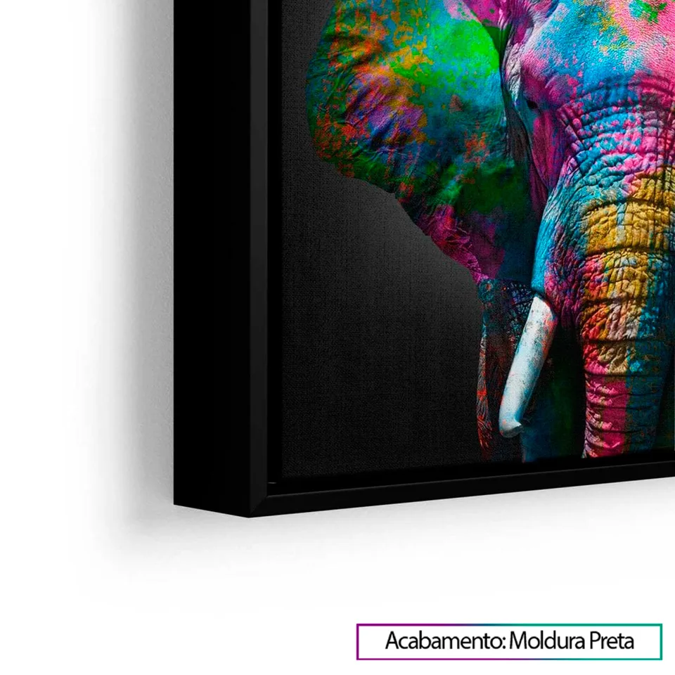 elefante-5
