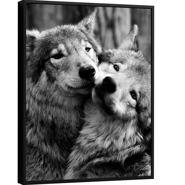 Quadro Casal de Lobos - Quadros para Escritório | QuadrosDecorativos.com