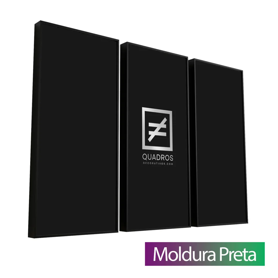 Quadro Artístico 3 Peças Acabamento Moldura Preta