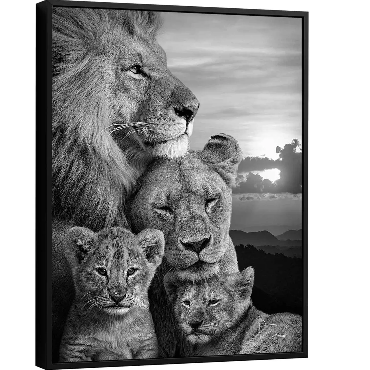 Quadro Família de Leões em preto e branco, casal com filhotes