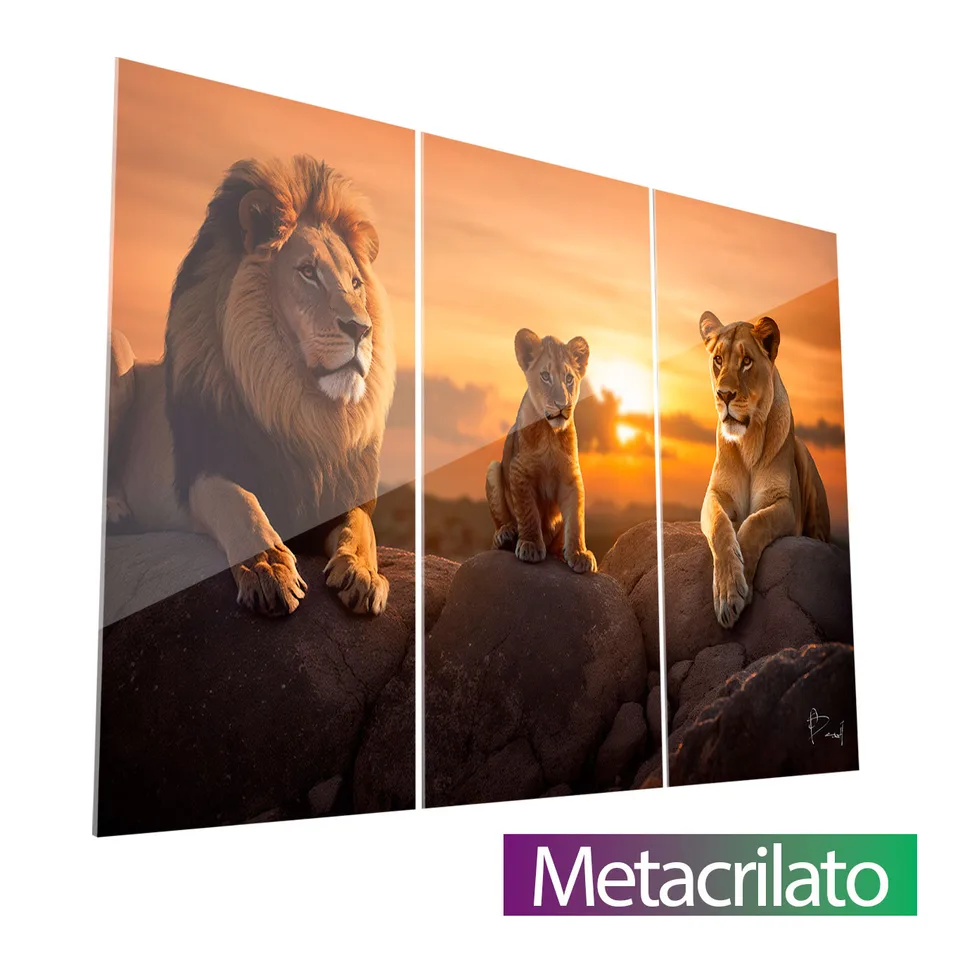 Quadro Família de Leões 3 Peças com acabamento em metacrilato