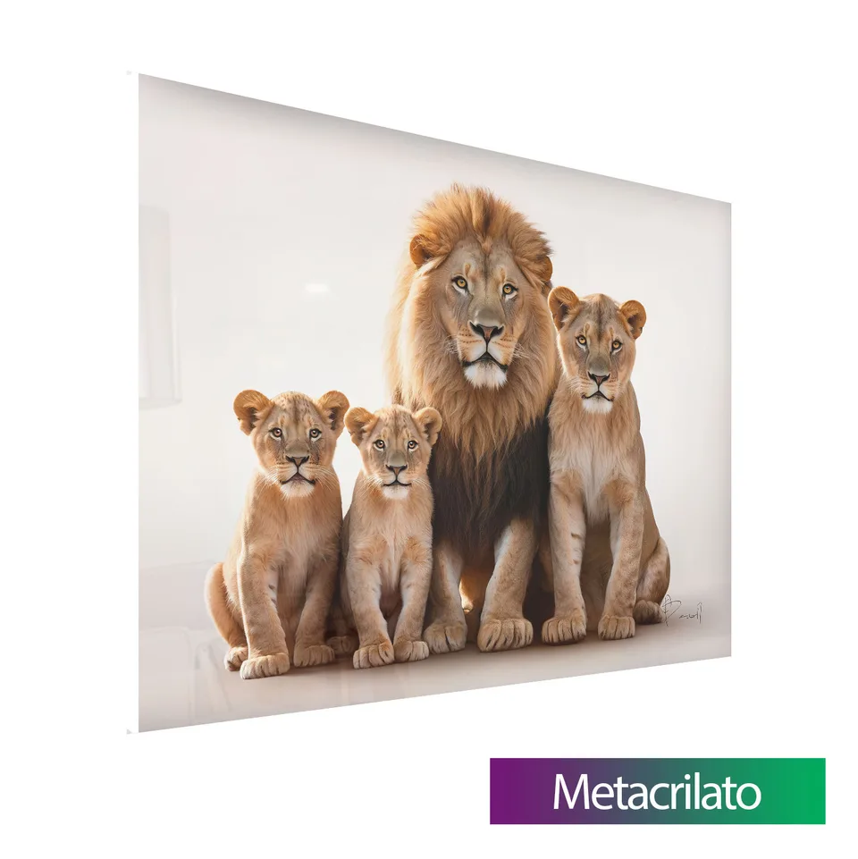 Quadro Família de Leões Afetuosa com acabamento em metacrilato