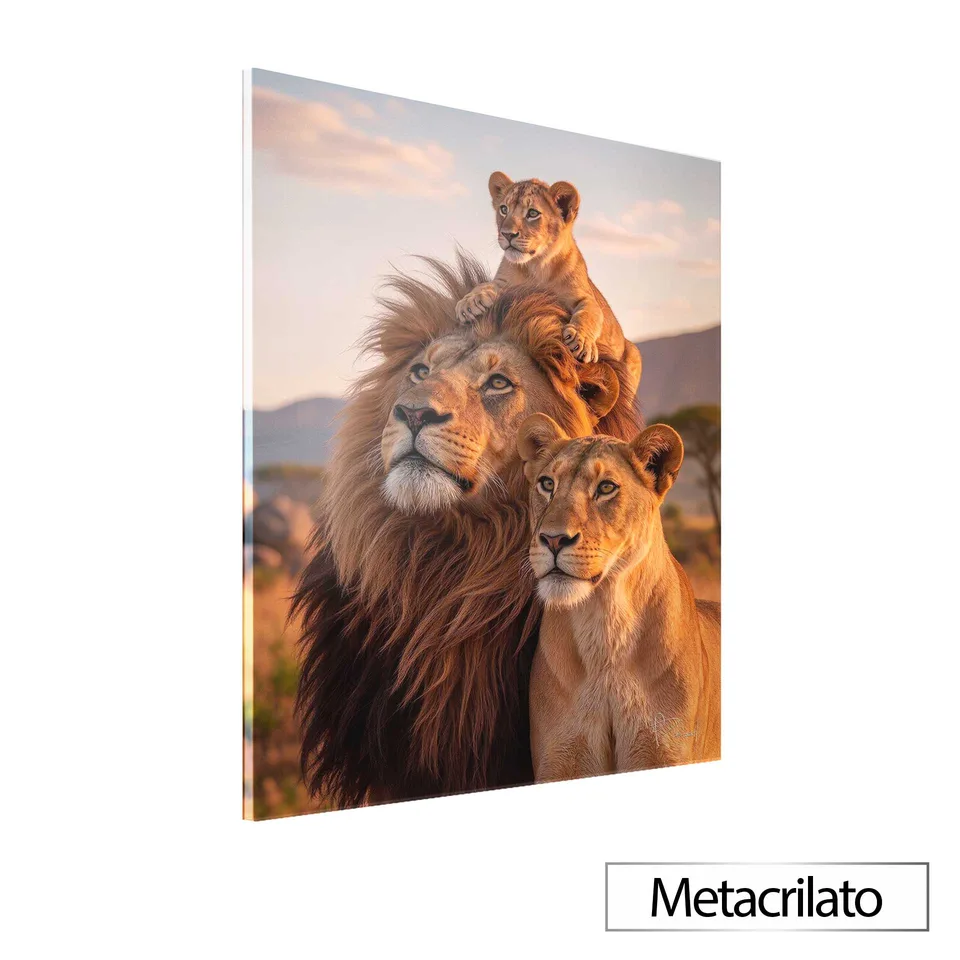 Quadro Família de Leões ao Entardecer com acabamento em metacrilato