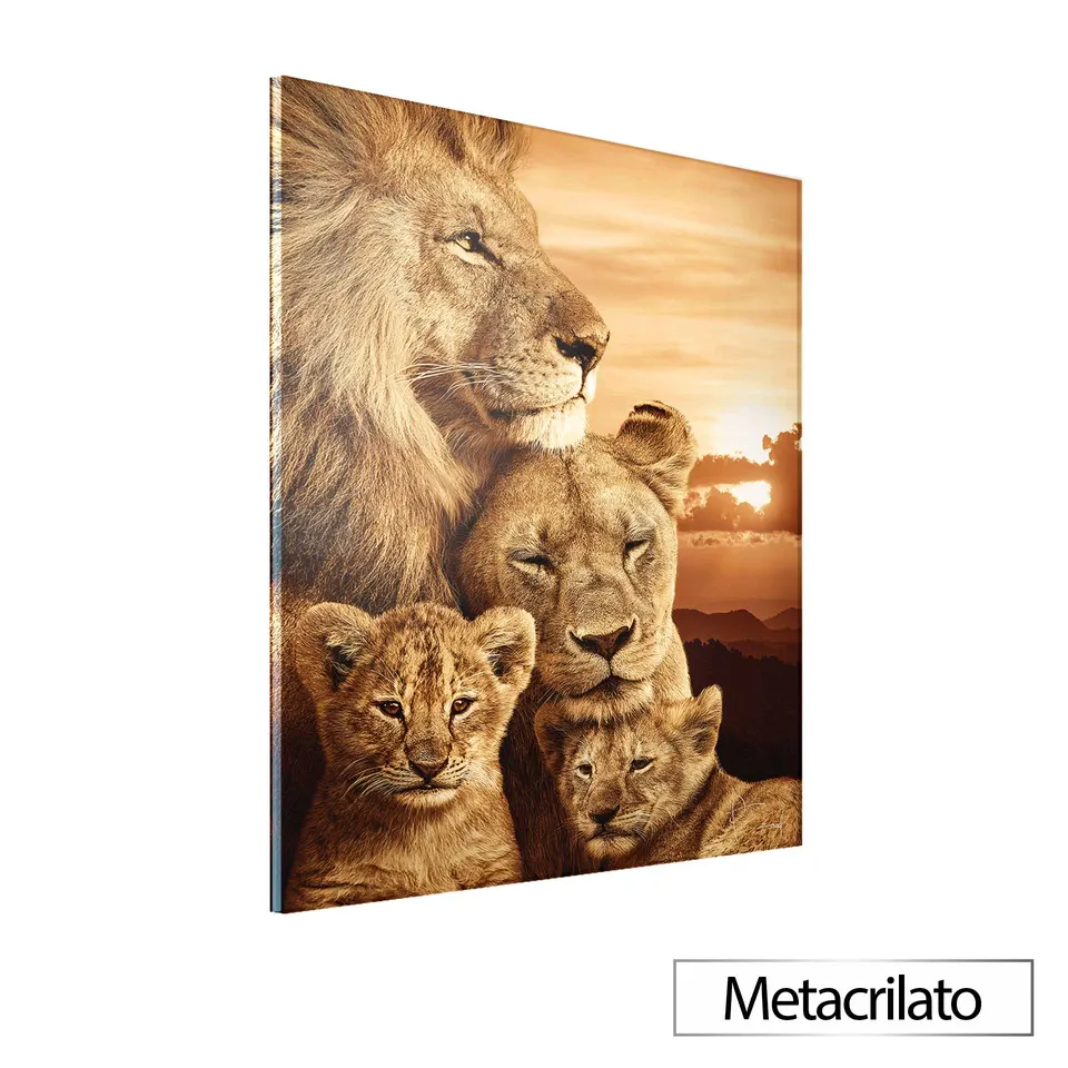Quadro Família de Leões Colorido com acabamento em metacrilato