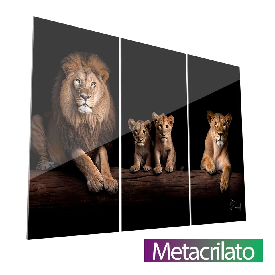 Quadro Família de Leões Elegantes - 2 Filhotes 3 Peças com acabamento em metacrilato
