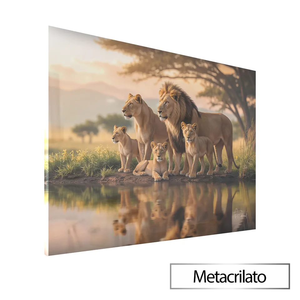 Quadro Família de Leões no Lago com acabamento em metacrilato