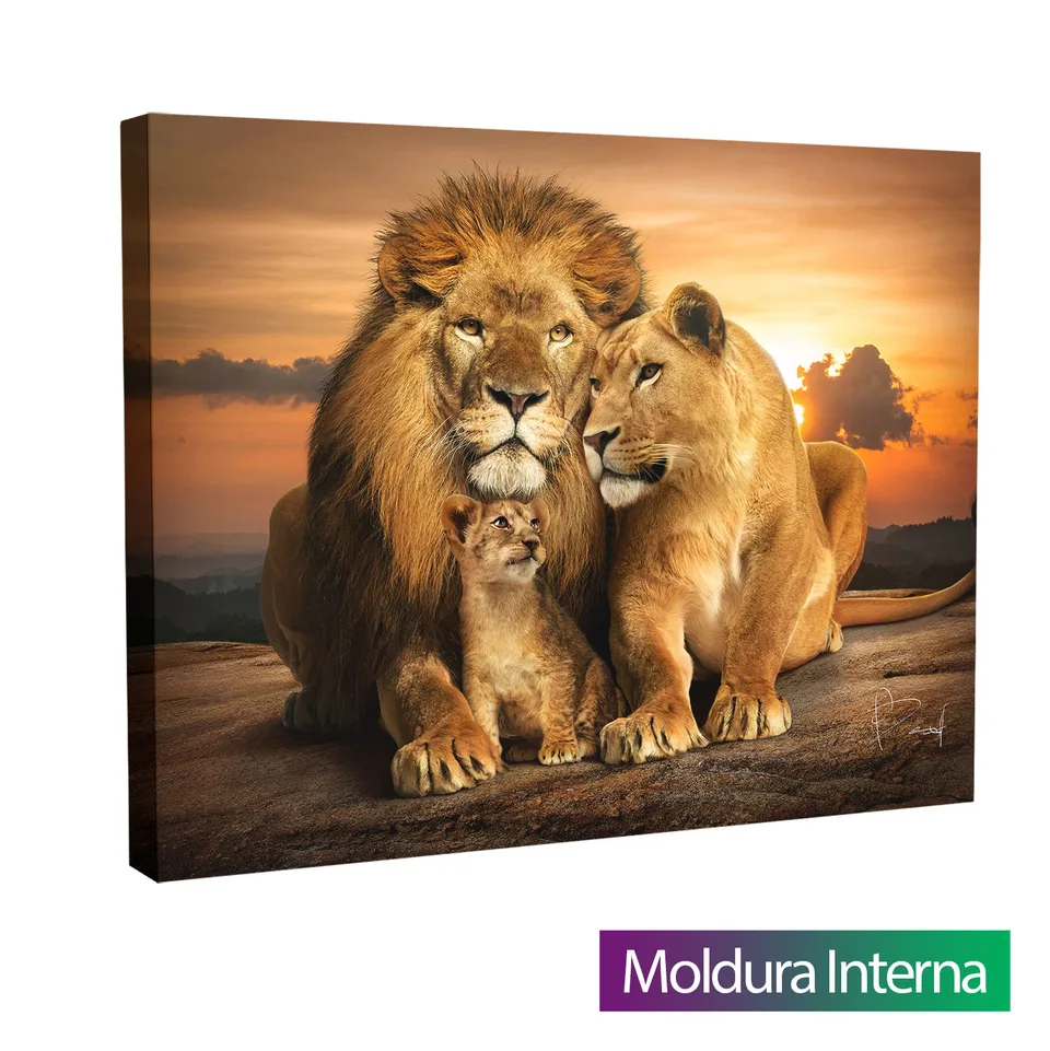 Quadro Família Unida de Leões com moldura interna
