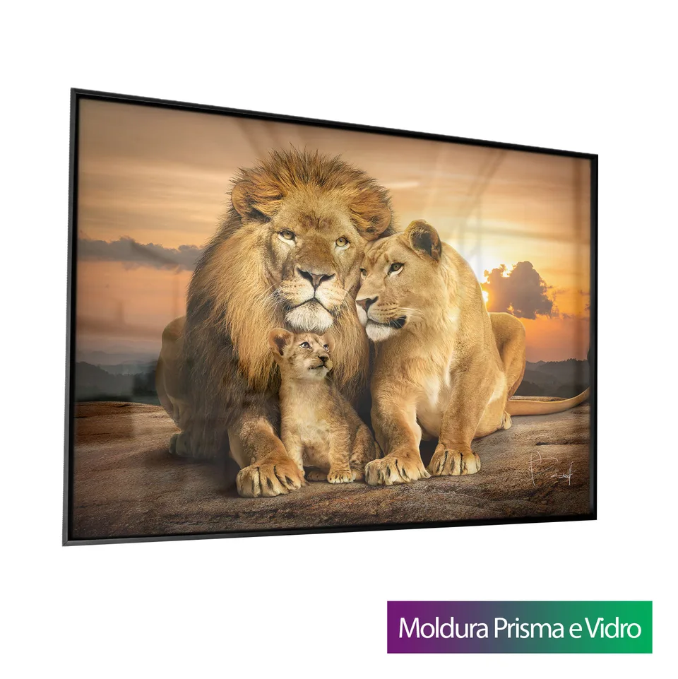 Quadro Família Unida de Leões com moldura Prisma e vidro