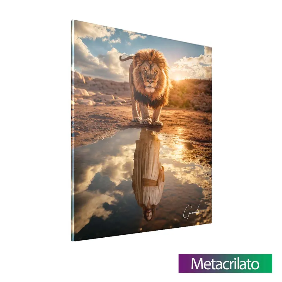 Quadro Leão de Judah e o Reflexo Divino com acabamento em metacrilato