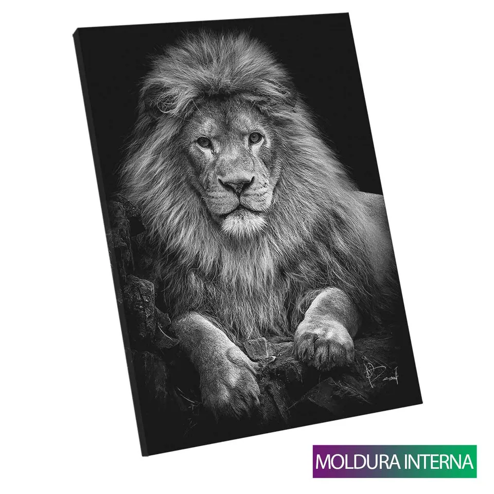 Quadro Leão na Pedra Preto e Branco — Moldura Interna, Médio 64x48