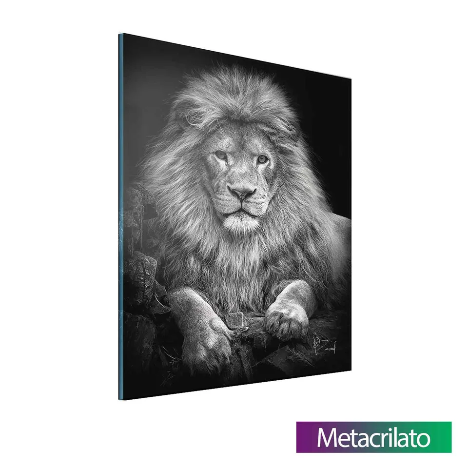 8184 Quadro Leão na Pedra Preto e Branco (1)