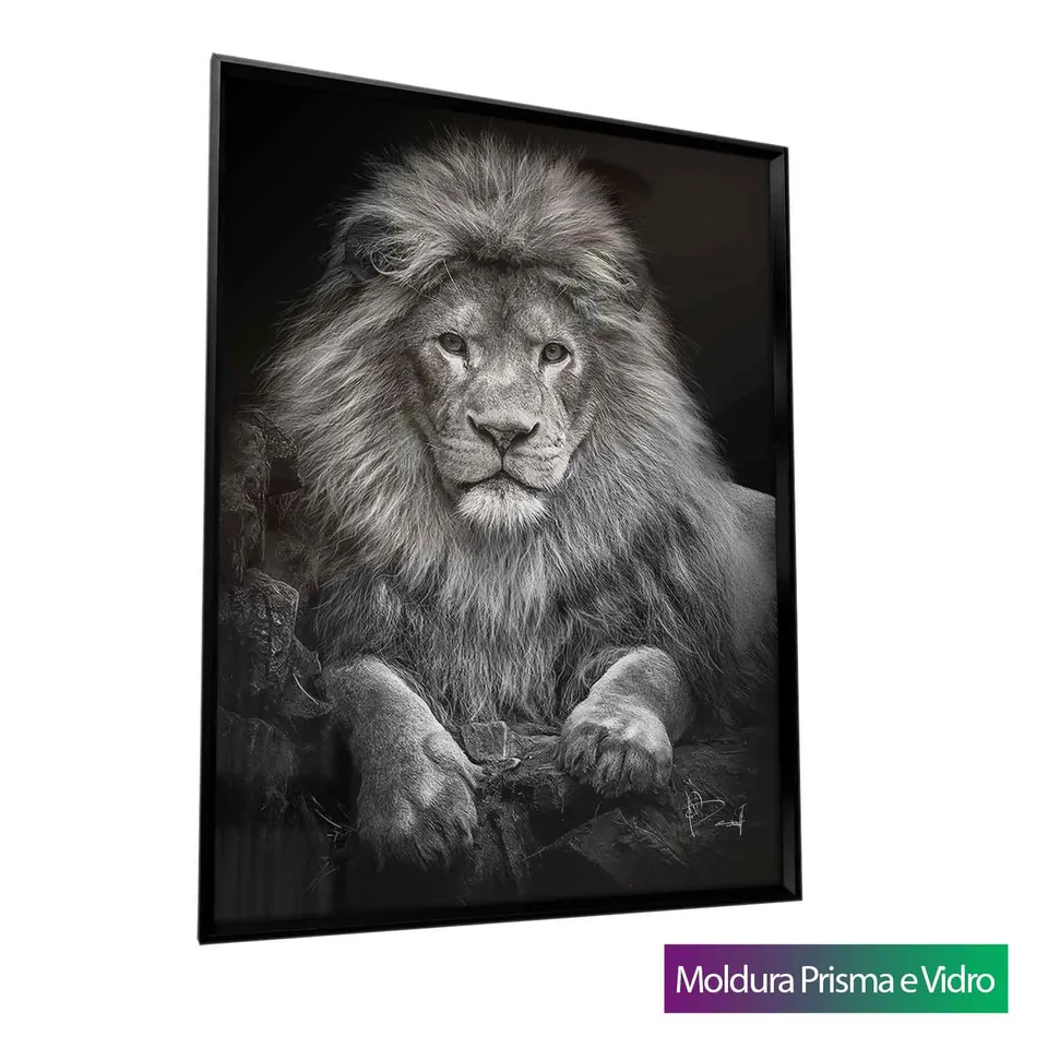 8184 Quadro Leão na Pedra Preto e Branco (4)