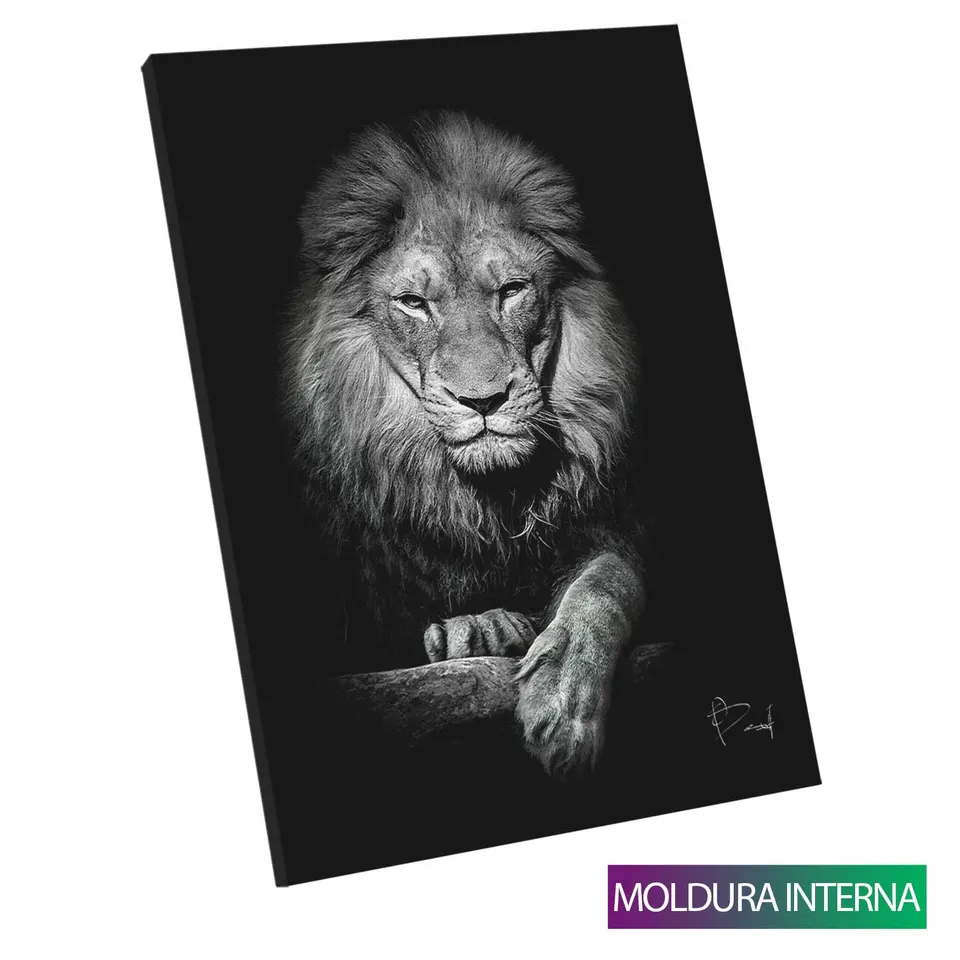 Quadro Leão no Preto com moldura interna