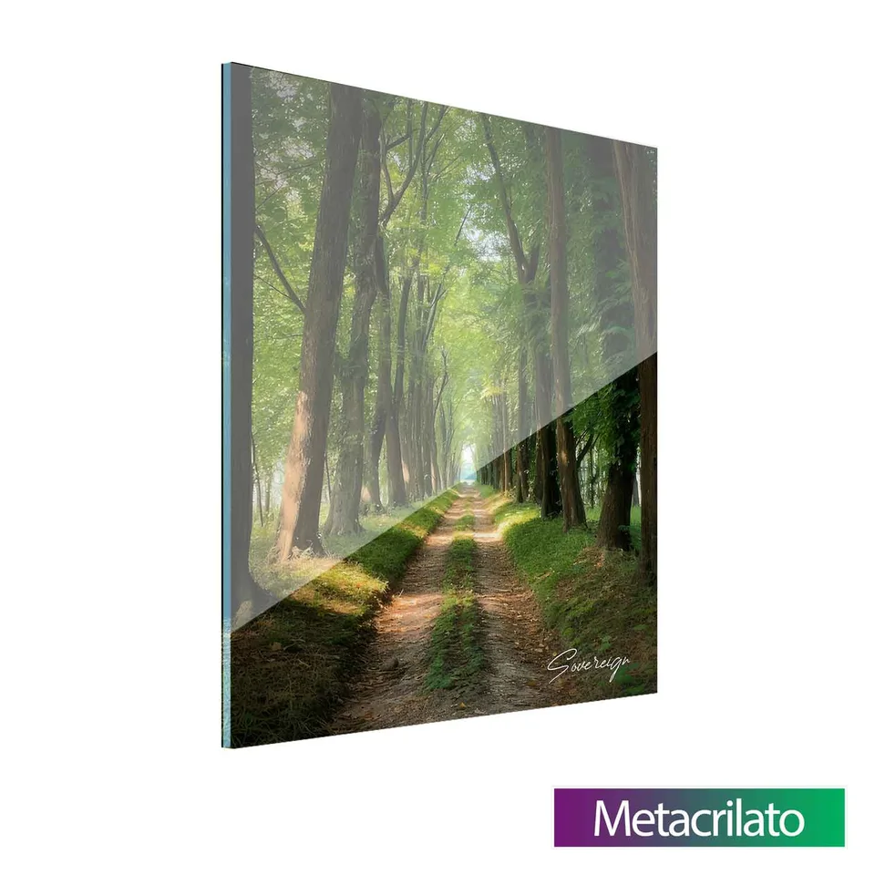 Quadro O Caminho da Floresta com acabamento em metacrilato