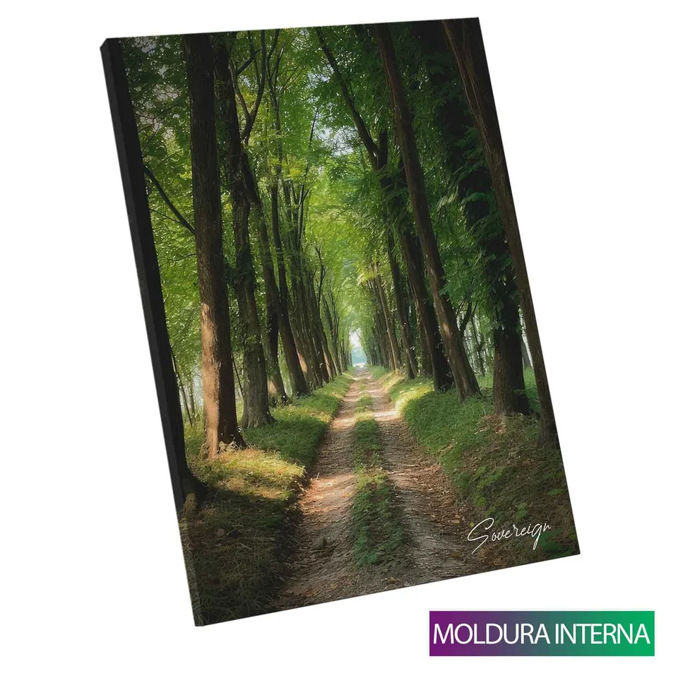 Quadro O Caminho da Floresta com moldura interna