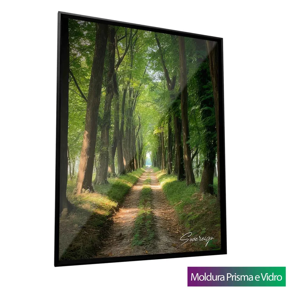 Quadro O Caminho da Floresta com moldura Prisma e vidro