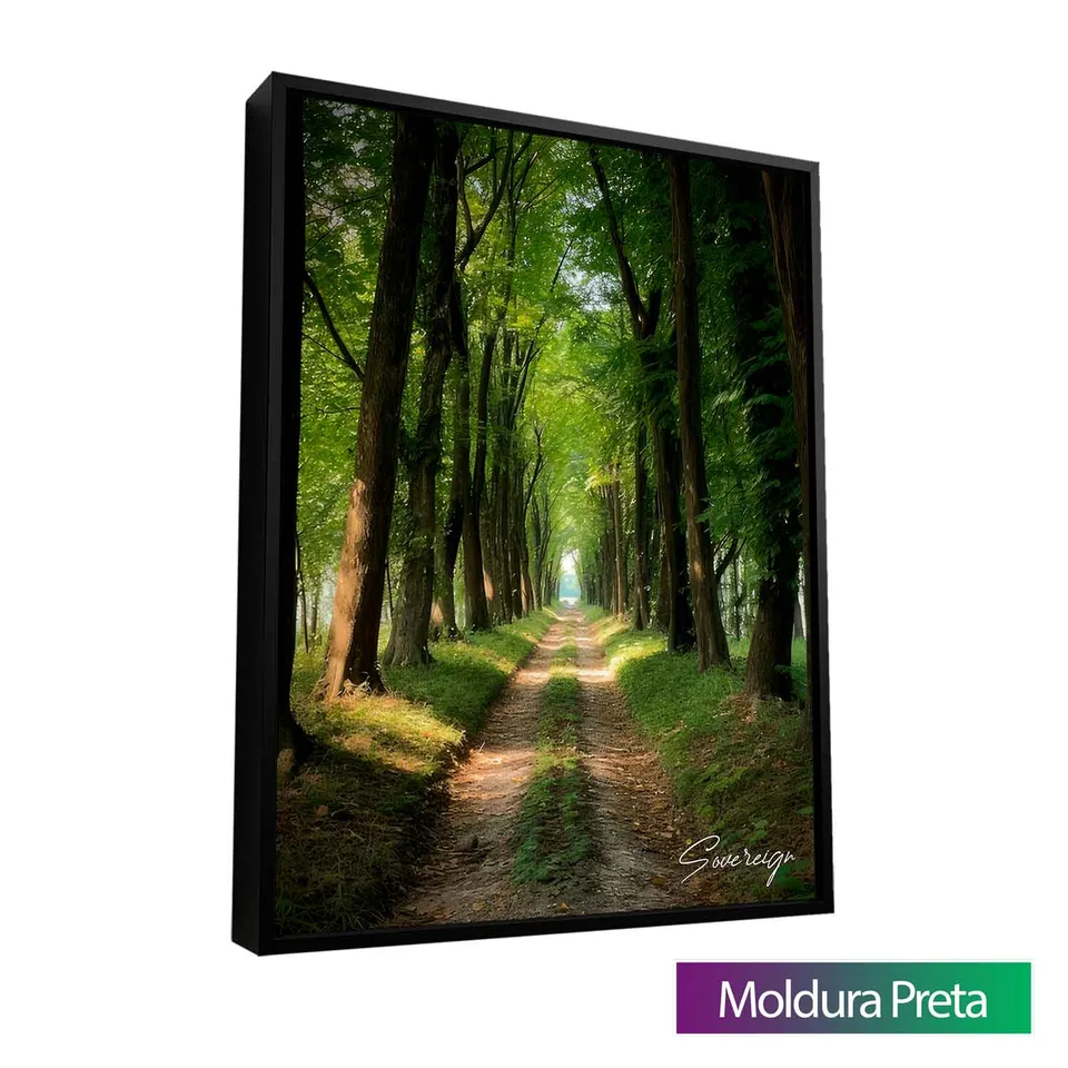 Quadro O Caminho da Floresta com moldura de filete preta
