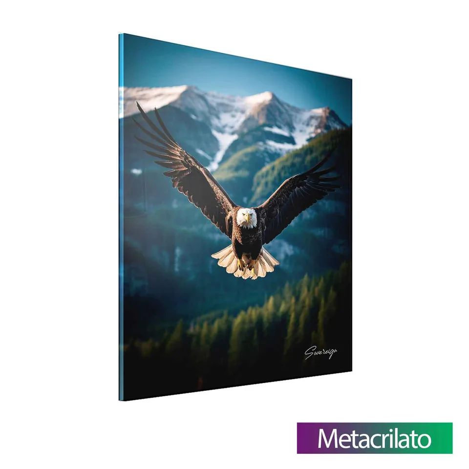 Quadro O Voo da Águia com acabamento em metacrilato
