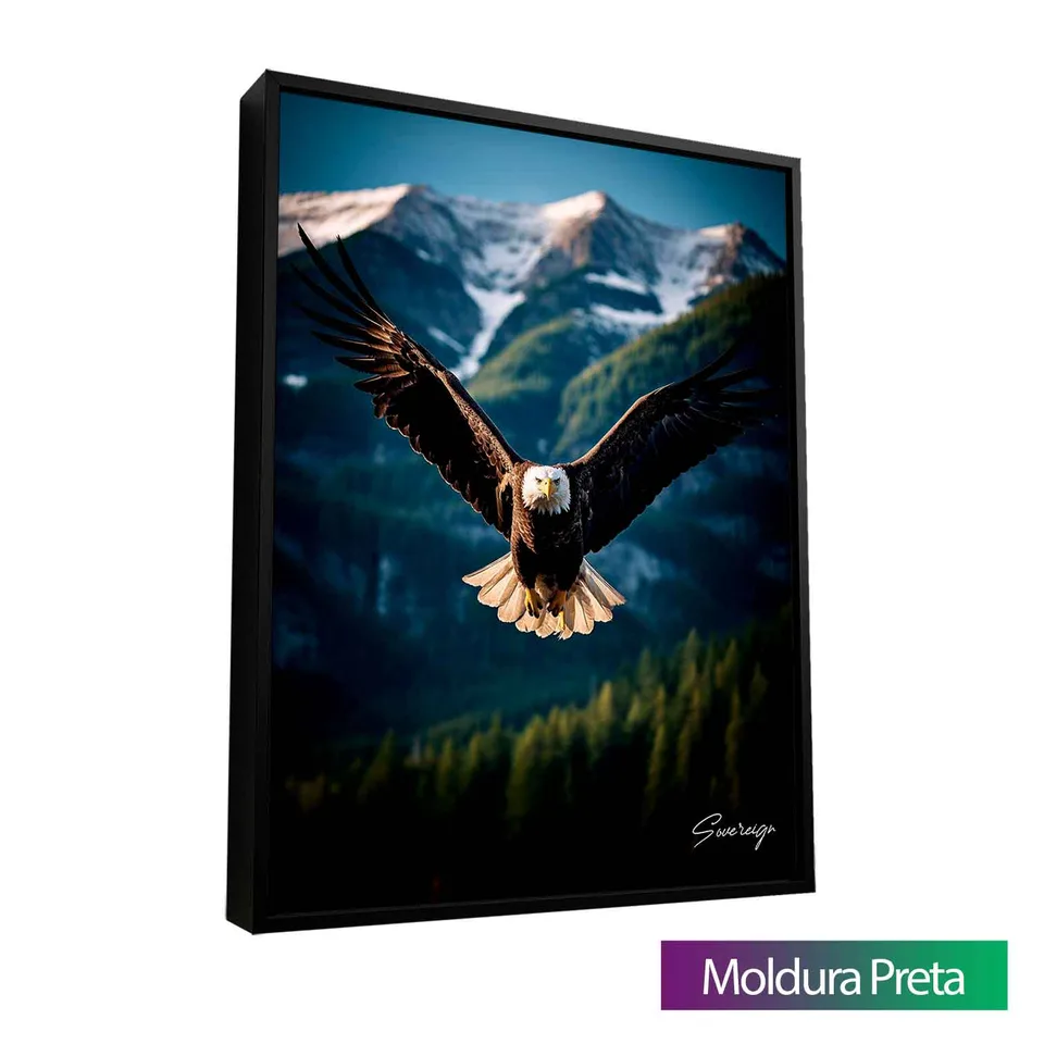 Quadro O Voo da Águia com moldura de filete preta