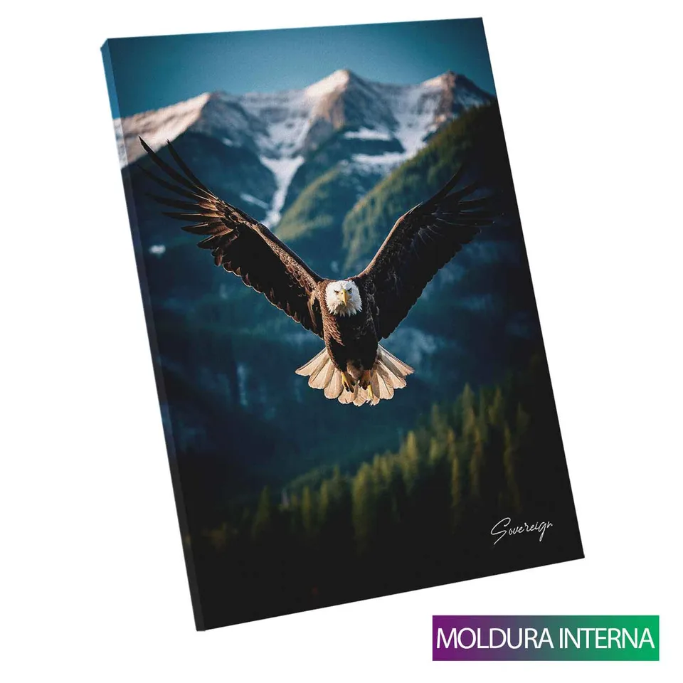 Quadro O Voo da Águia com moldura interna