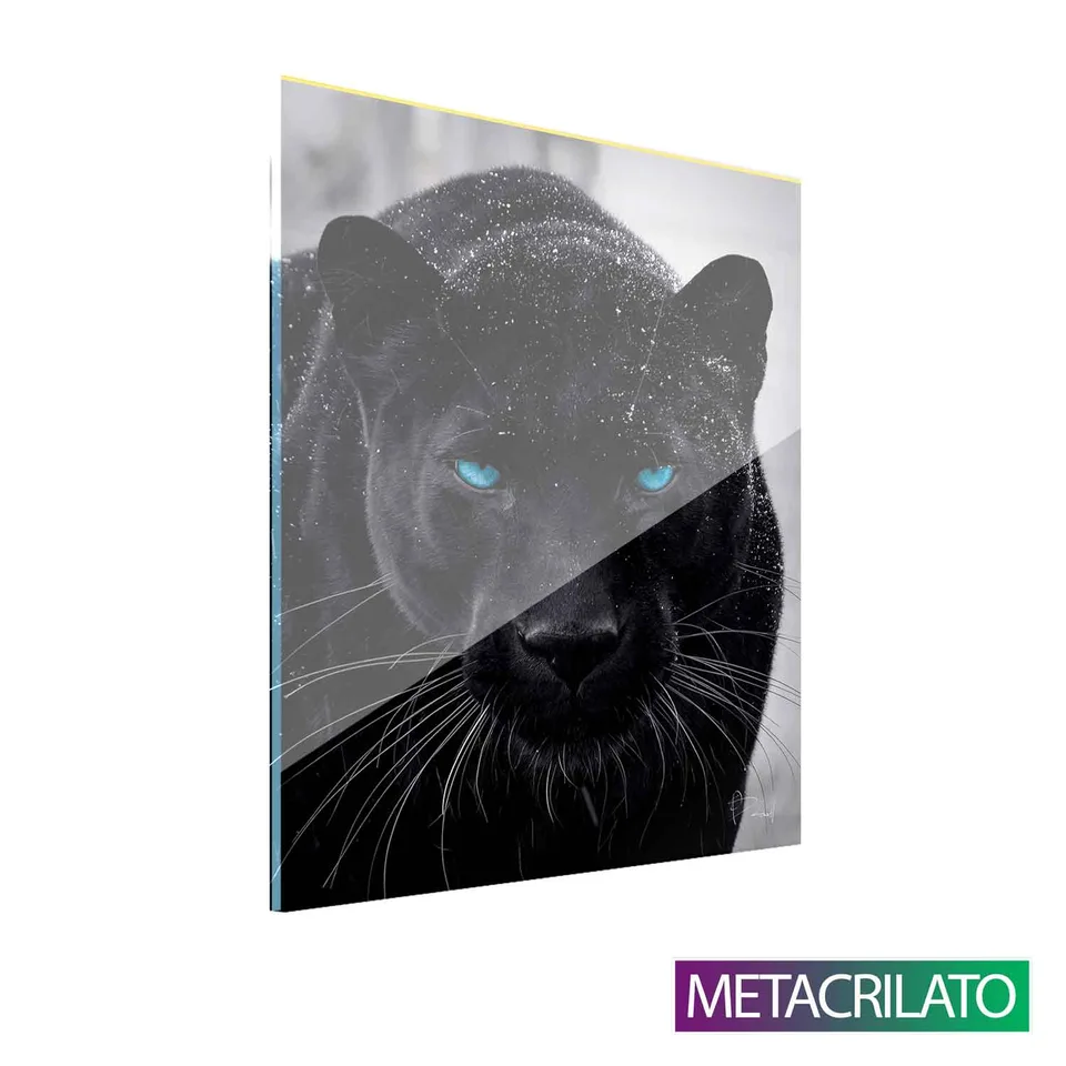 Quadro Pantera na Neve com acabamento em metacrilato