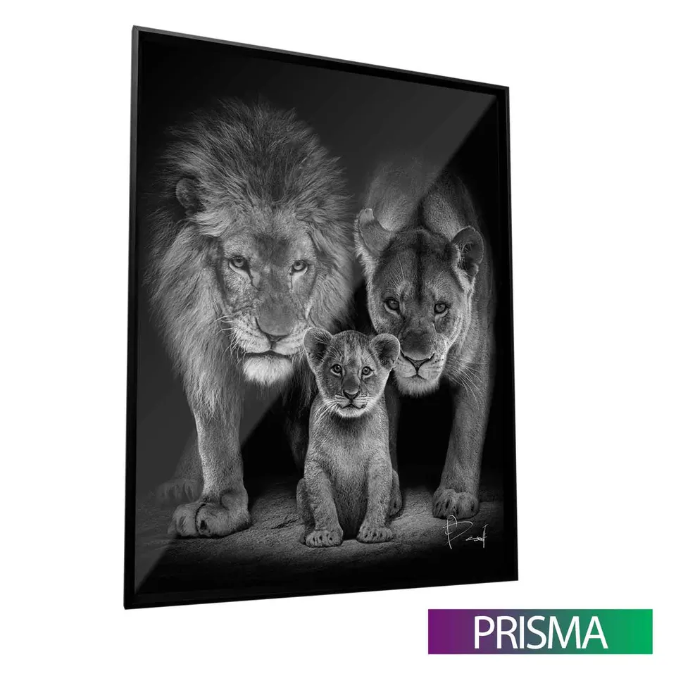 Quadro Proteção de Leão com moldura Prisma e vidro