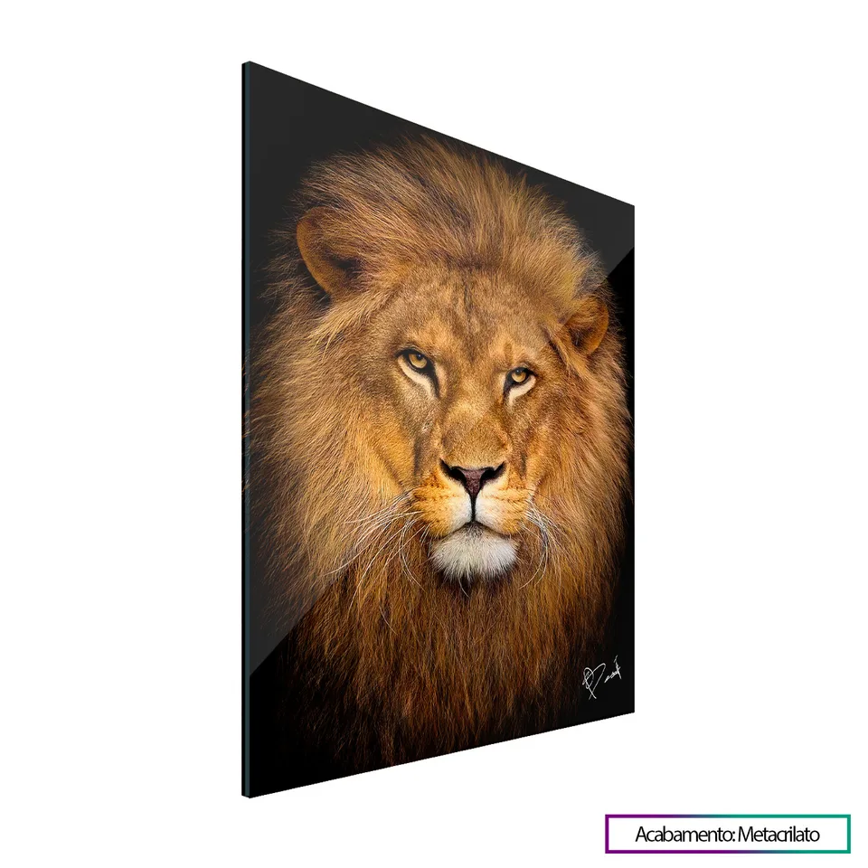 Quadro Rosto do Jovem Leão com acabamento em metacrilato